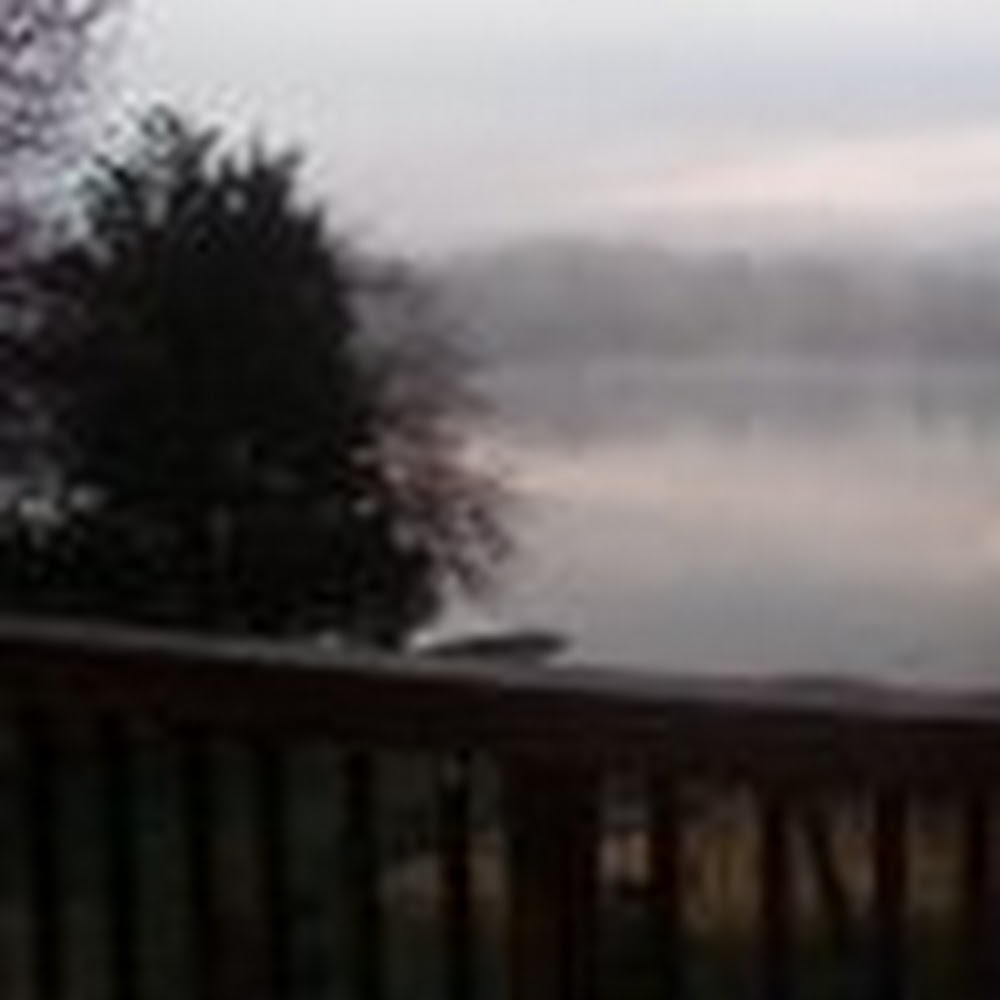 Meet your Posher, Stormy